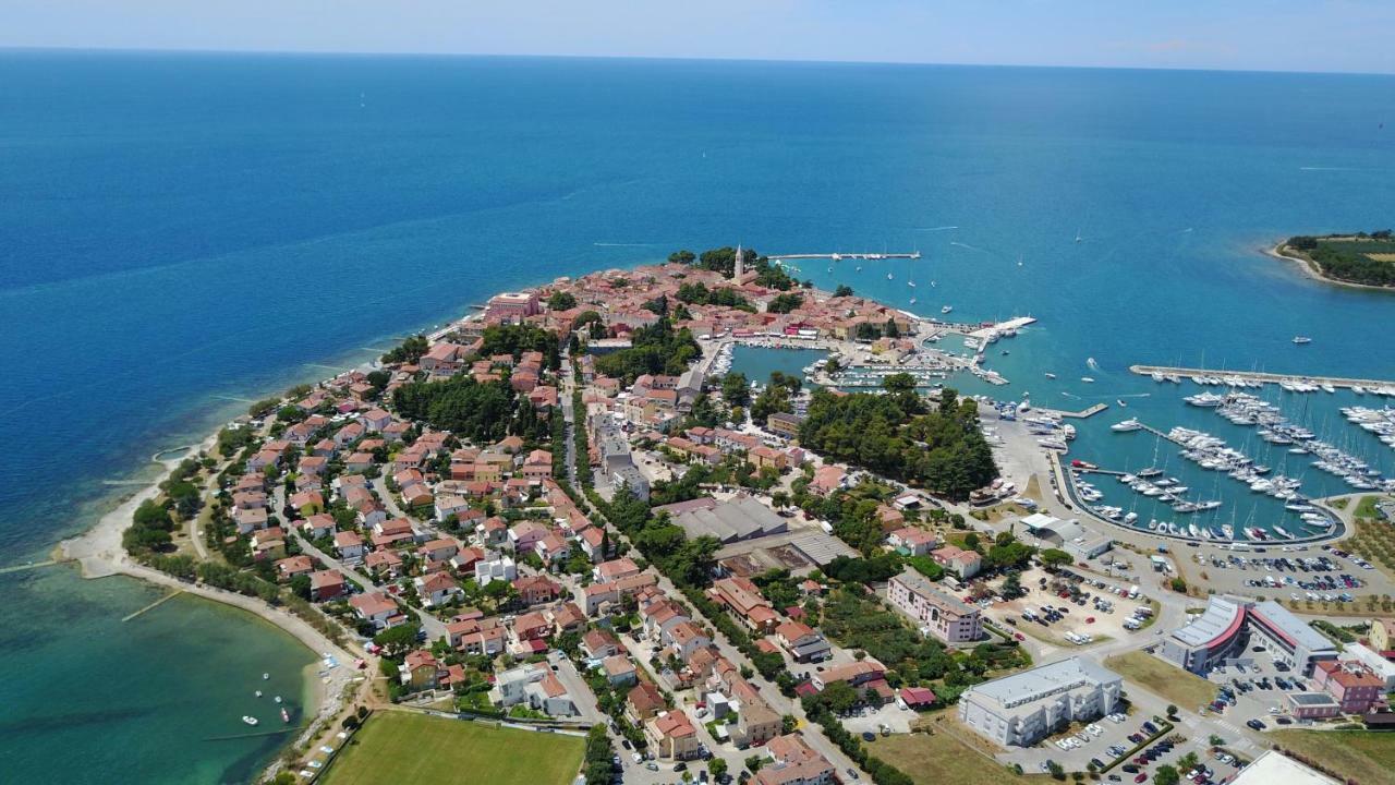 Petelin Novigrad Istria